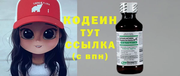 прущий лед Пересвет