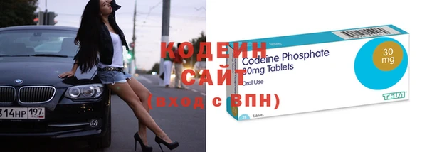 прущий лед Пересвет