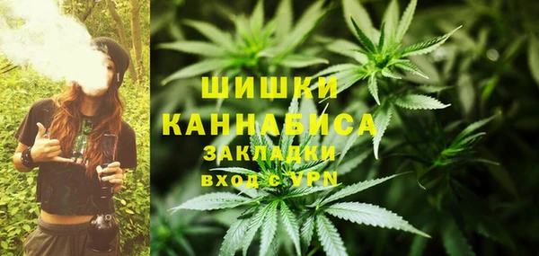 прущий лед Пересвет