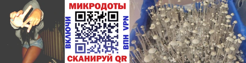 Галлюциногенные грибы мухоморы  купить наркотики цена  Электроугли 